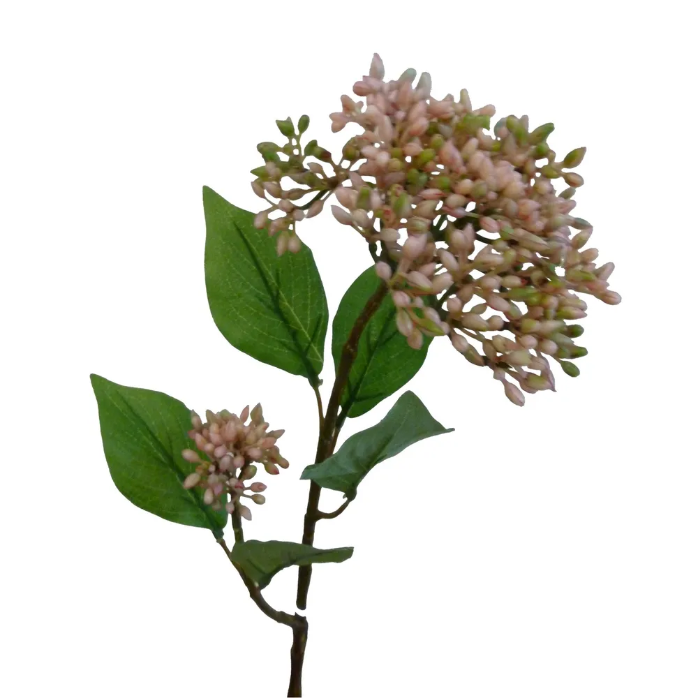 SW Seed Spray Pink 51cm