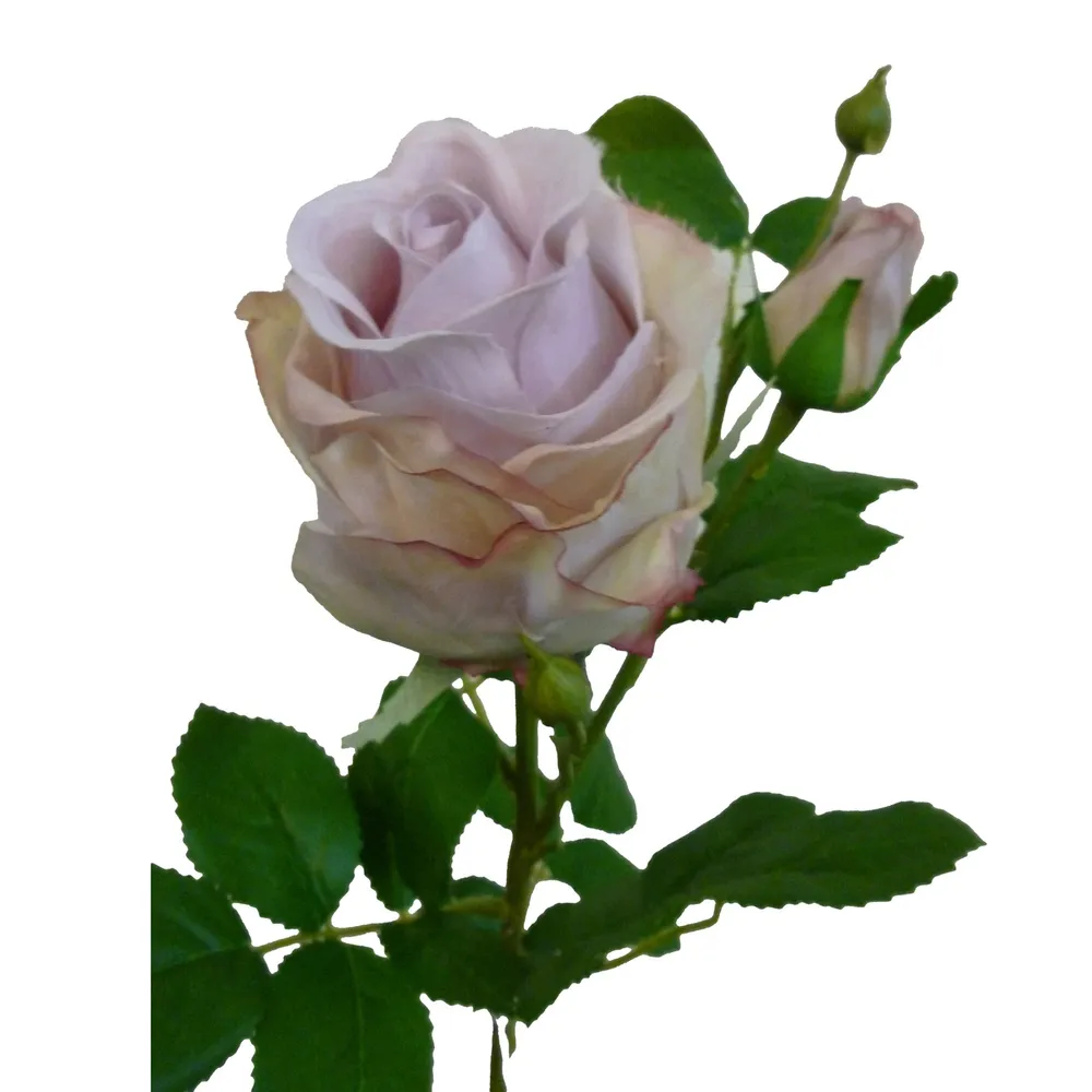 CB Rose Spray Antique