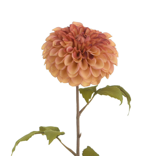 CB Dahlia Mauve