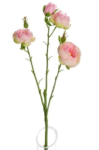 CB Lydia Ranunculus Spray Pale Pink