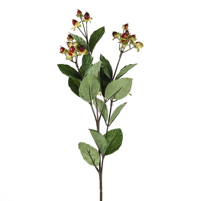 CB Hypericum Red 72cm