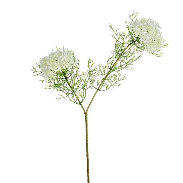 CB Elderflower Spray Cream 57cm