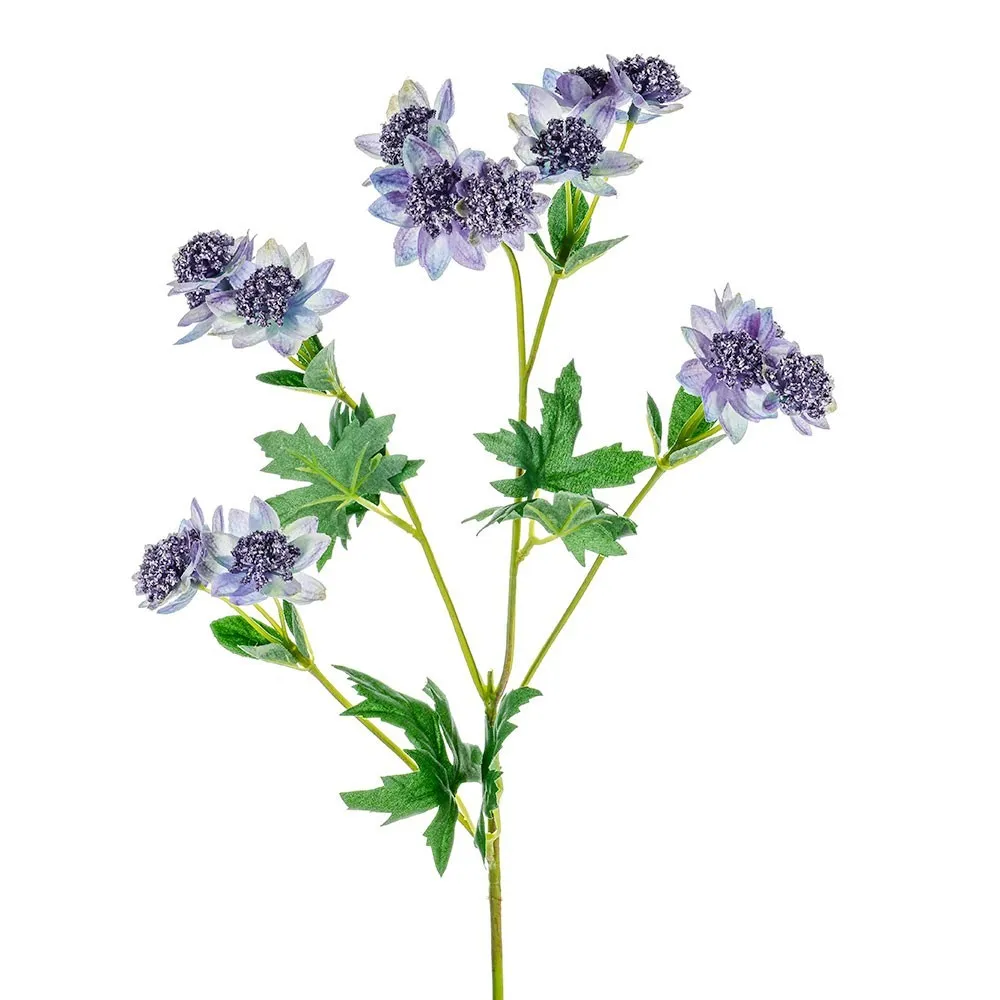 CB Meadow Astrantia Blue 66cm
