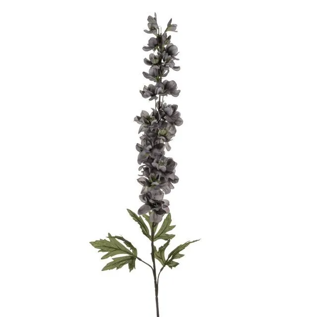 CB Delphinium Grey 90cm