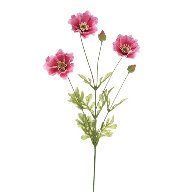 CB Poppy Pink