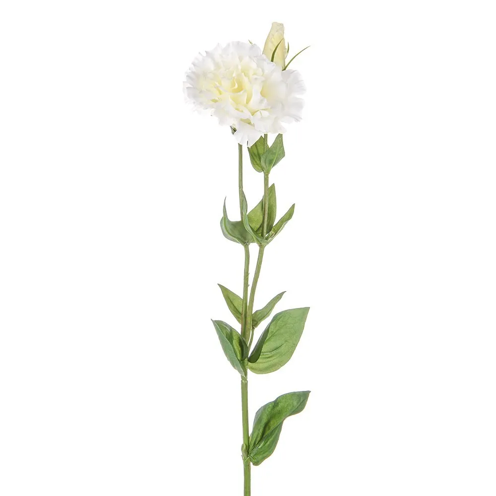 CB Dawn Lisianthus Ivory 62cm