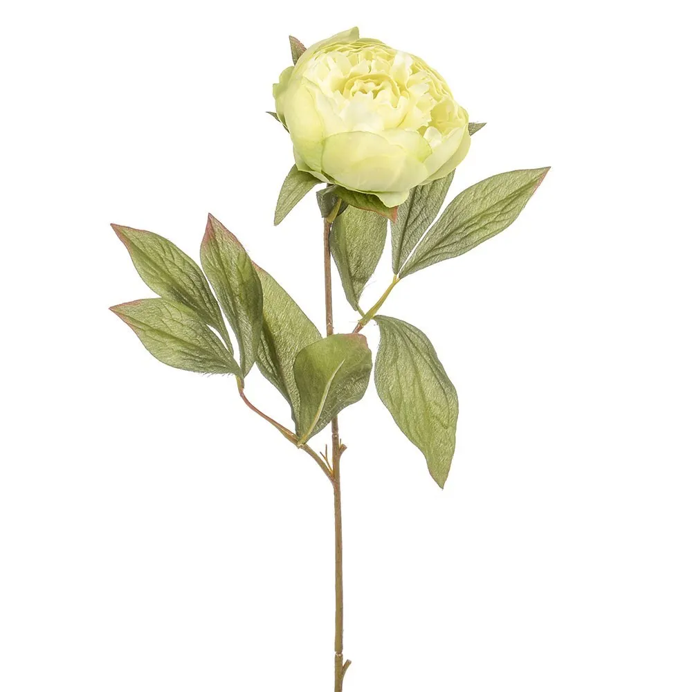 CB Dawn Peony Green 62cm