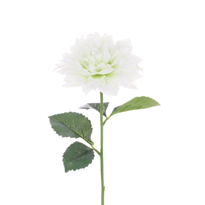 FS Juliet dahlia 61cm