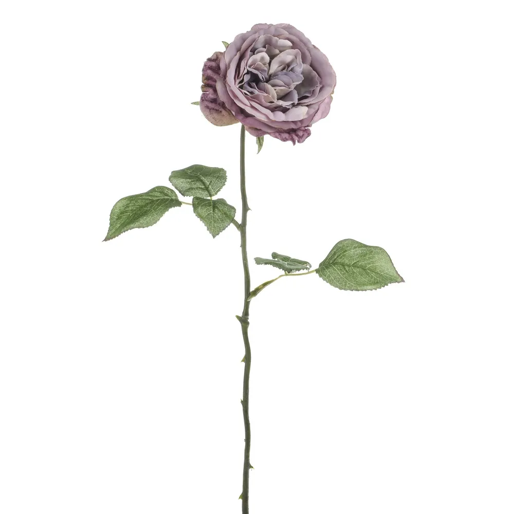 CB Mia Rose Purple