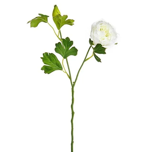 CB Dolly Ranunculus Spray Cream