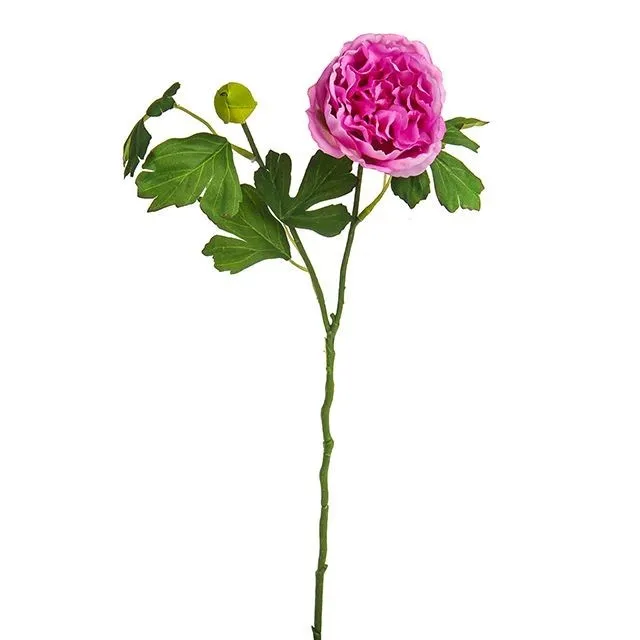CB Dolly Ranunculus Spray Purple 42cm