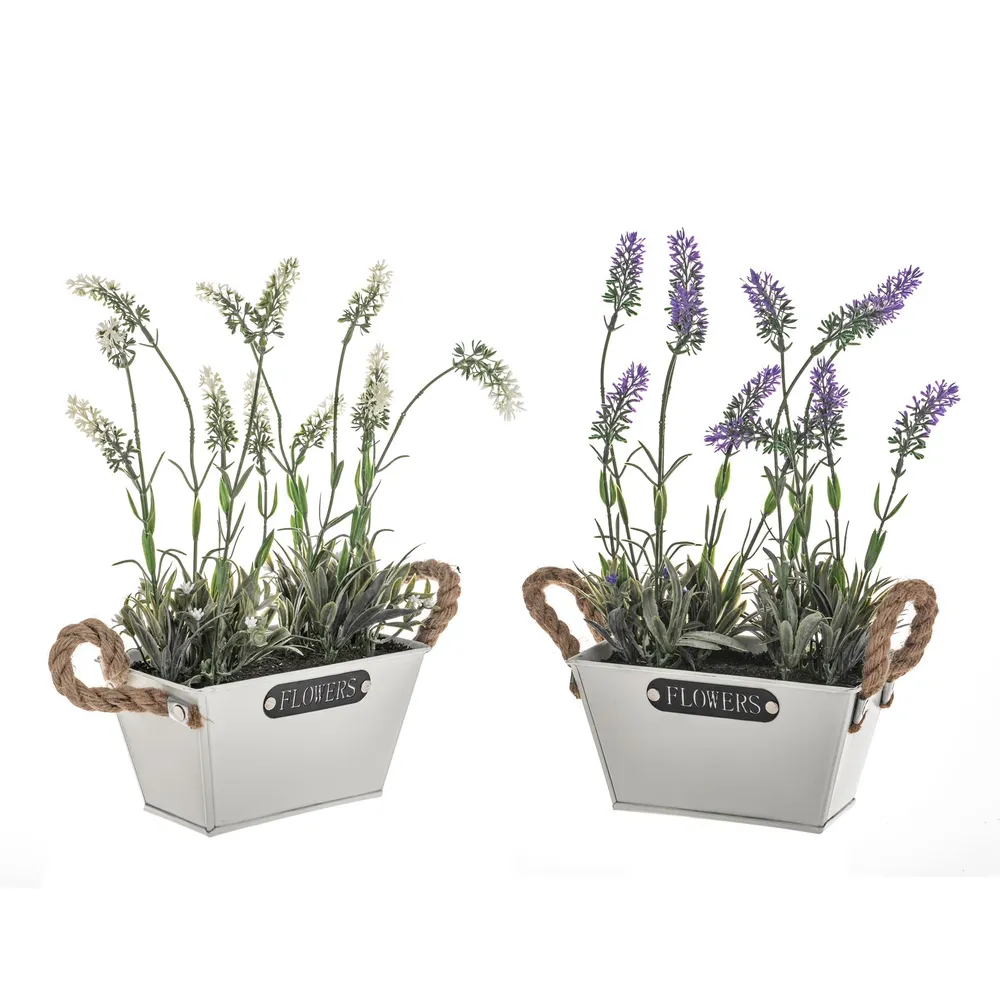 CB Potted Lavender Metal Trough 2Ass