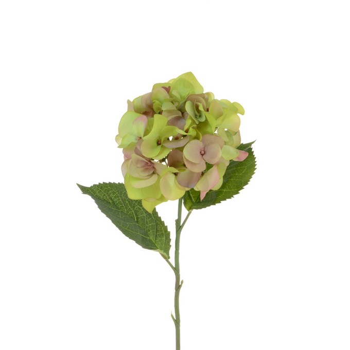FS Garden Hydrangea Green 58cm