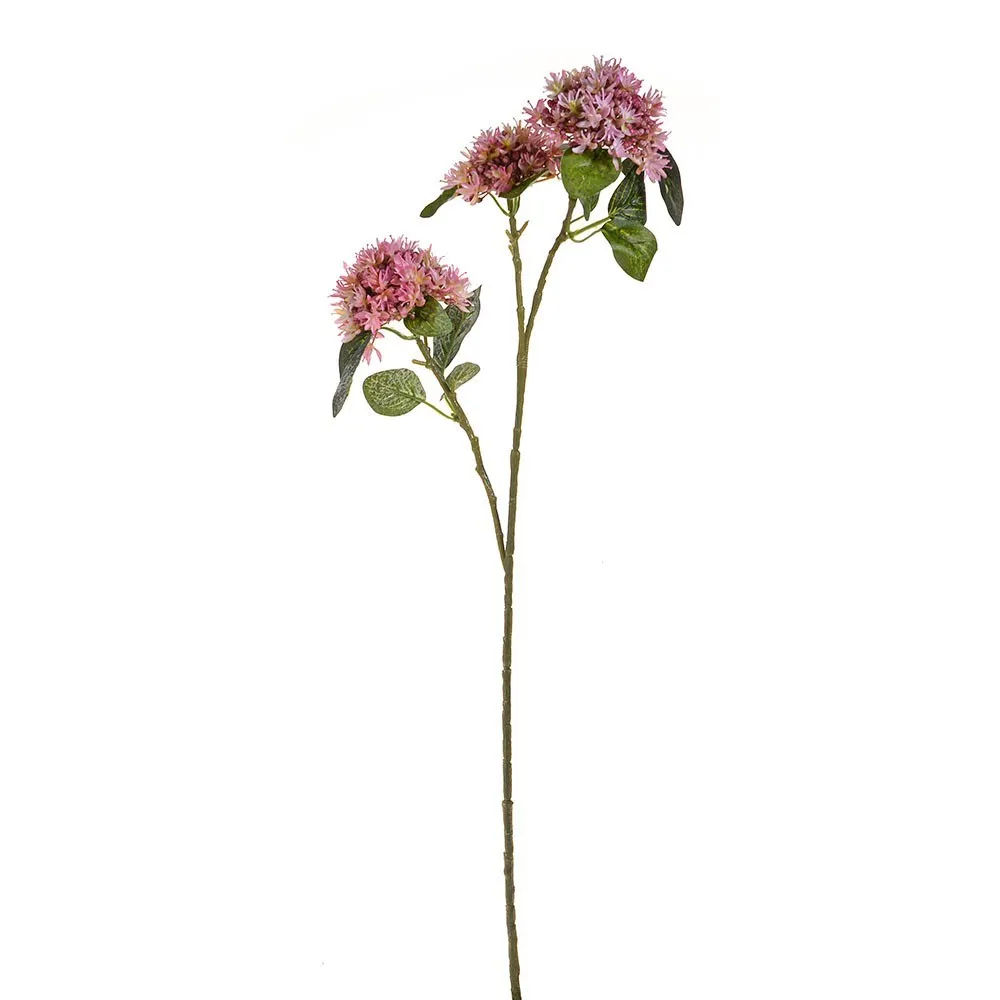CB Sedum Spray Dark Pink 65cm