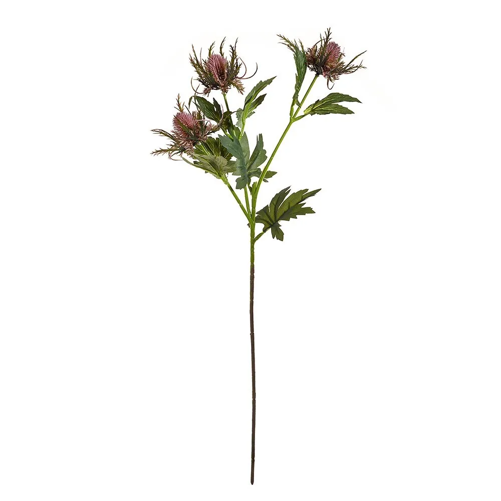 CB Sea Holly Spray Dark Pink