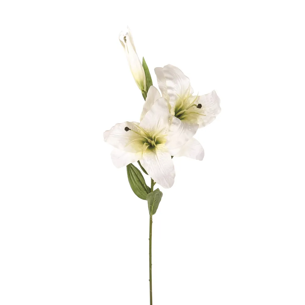 CB Cameo Casablanca Cream 80.9cm