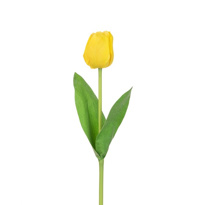 FS Triumph Tulip Yellow 48cm