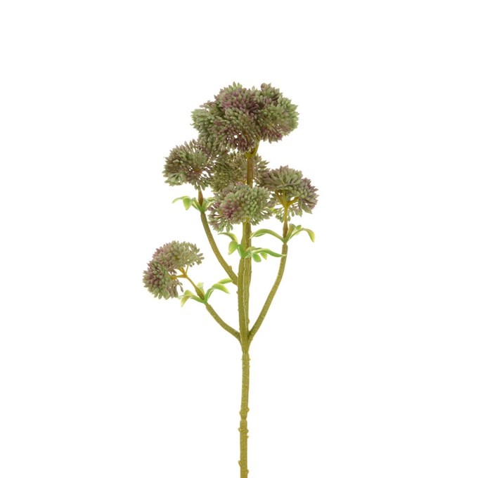 FS Angelica 33cm