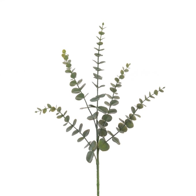 FS Eco Eucalyptus Spray 75cm