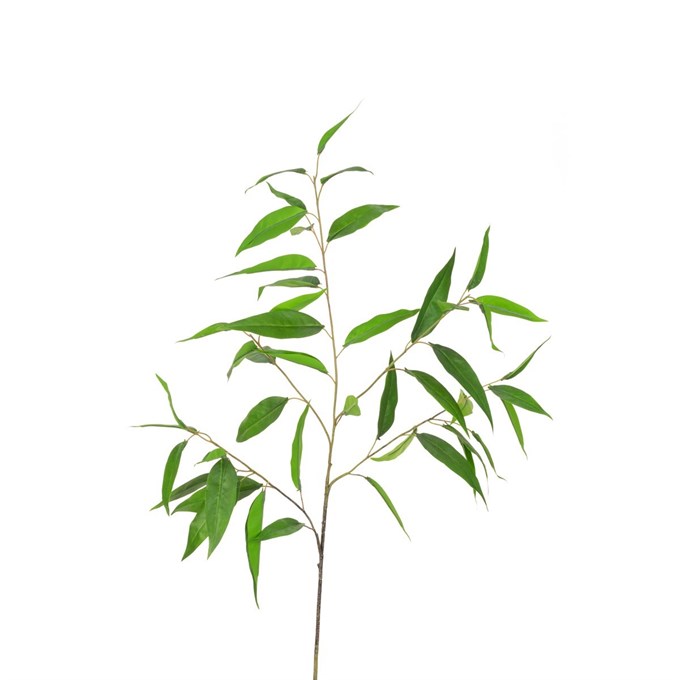 FS Long Eucalyptus Spray 97cm