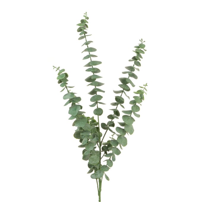 FS Eucalyptus Spray 88cm