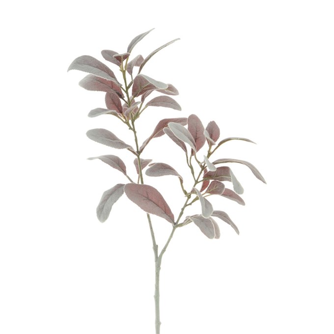 FS Lambs Ear Spray Dusty Pink