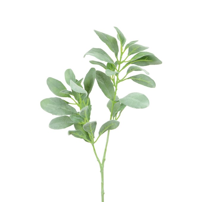 FS Lambs Ear Grey Green 71cm