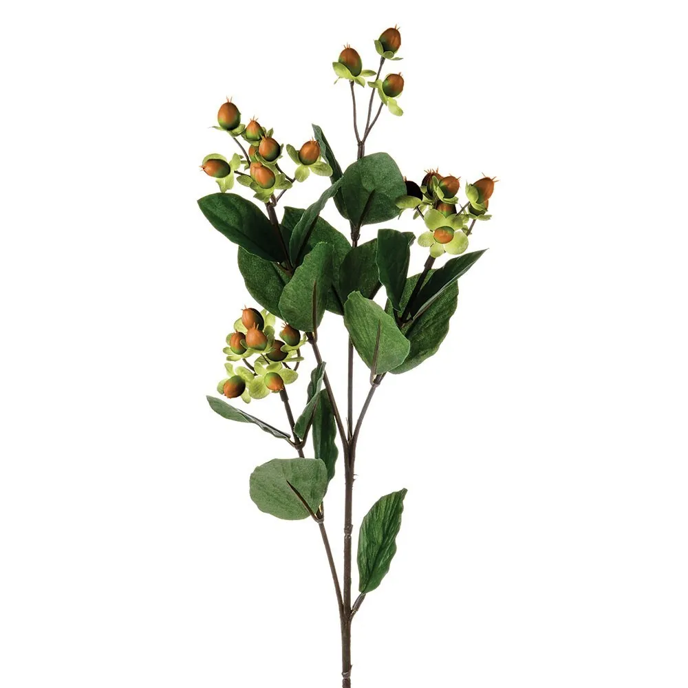 CB Hypericum Green 72cm