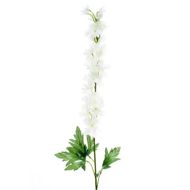 CB Delphinium Cream 90cm