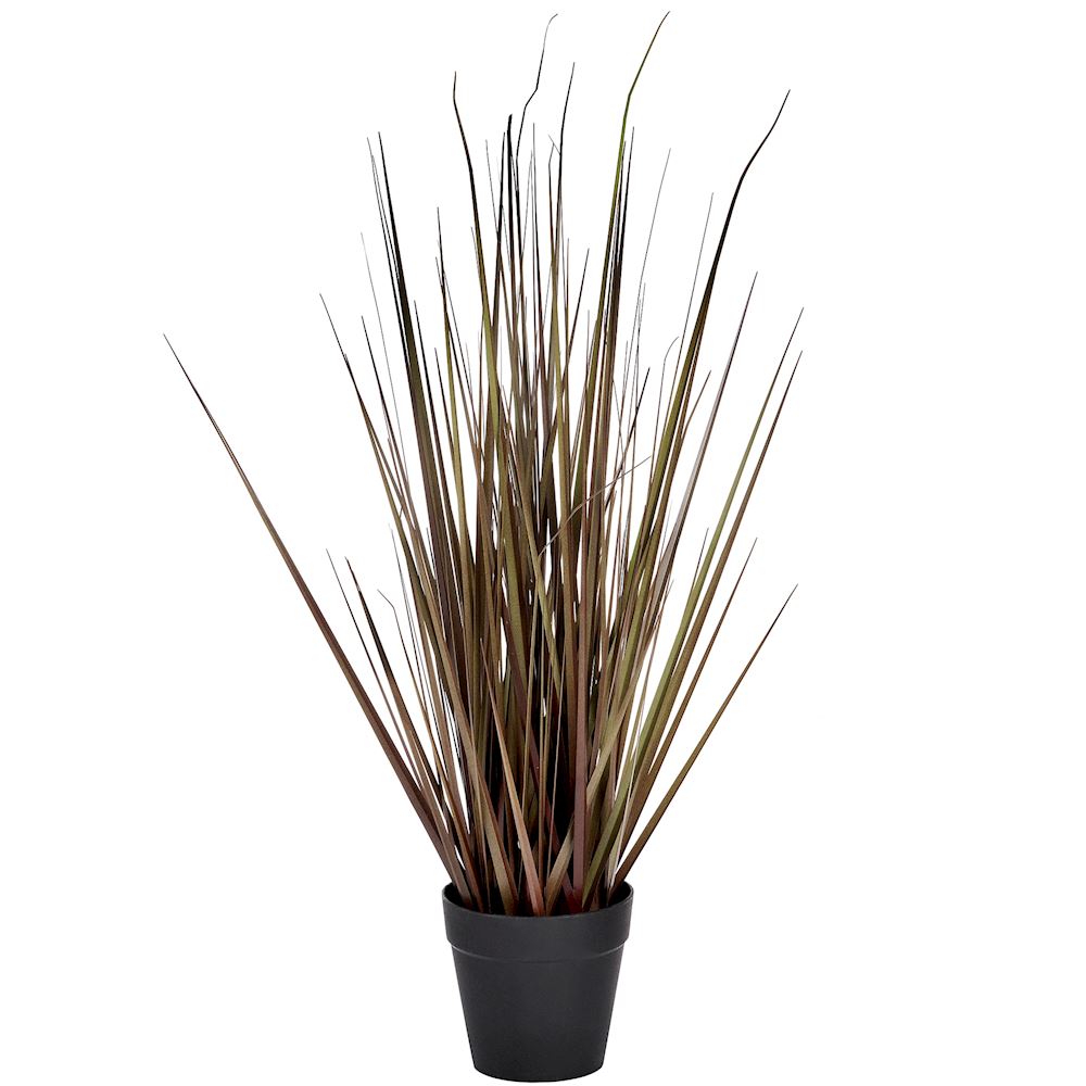 WJ Grass in pot 54cm