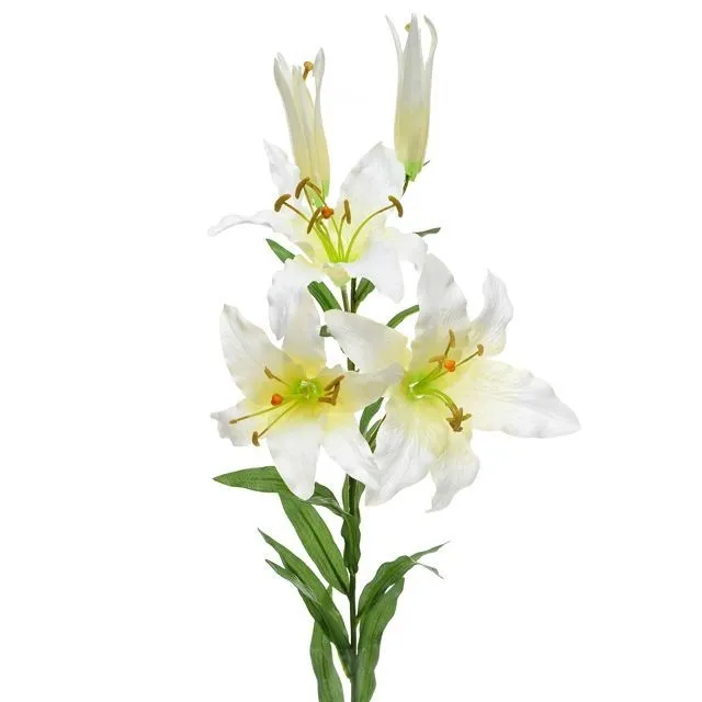 CB Classic Casablanca Cream 86cm