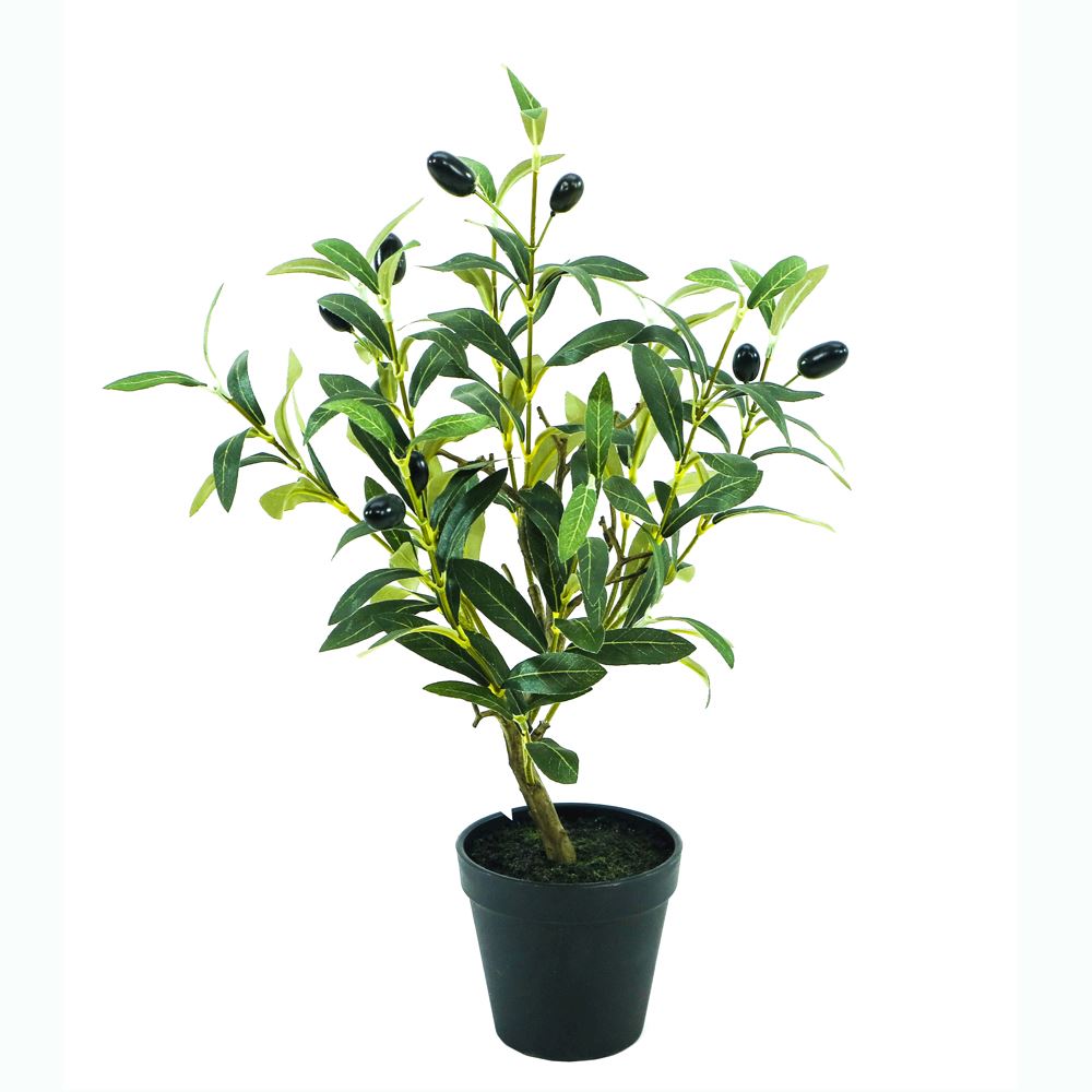 WJ Mini Olive Tree 46cm