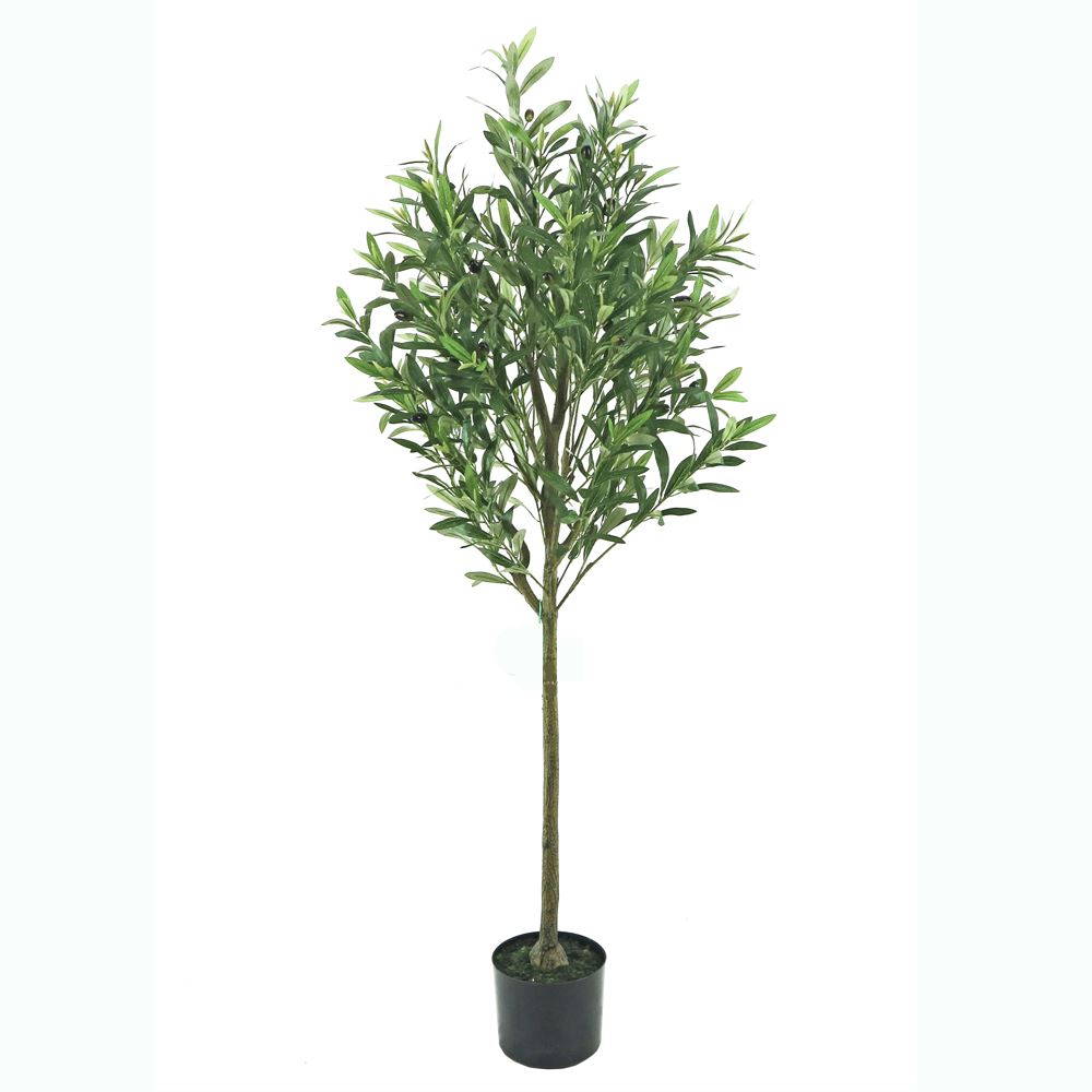 WJ Olive Tree 153cm