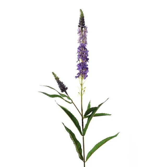 CB Amelia Veronica Lavender