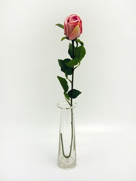 CB Prize Rose Bud Pink 63.5cm