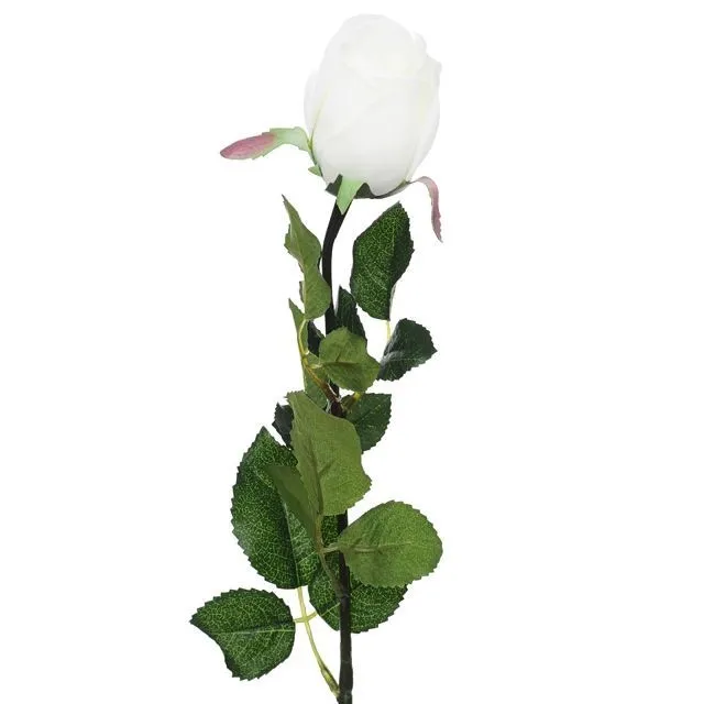 CB Prize Rose Bud White