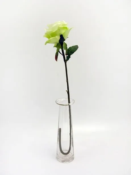 CB Prize Rose Med Green