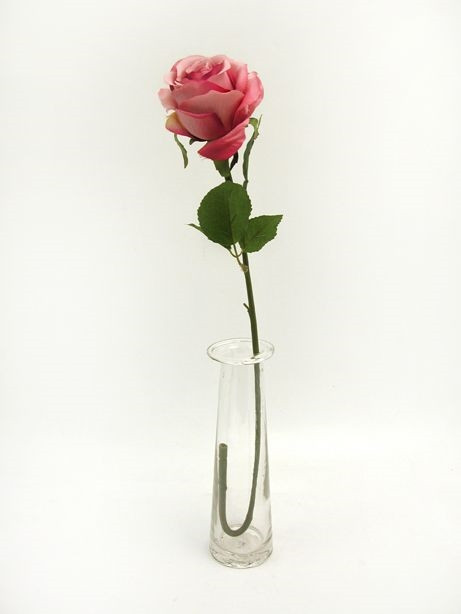 CB Prize Rose (M) Pink 64cm