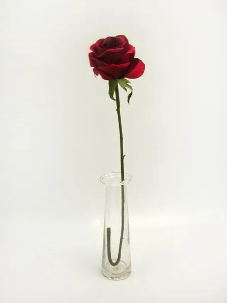 CB Prize Rose Med Red