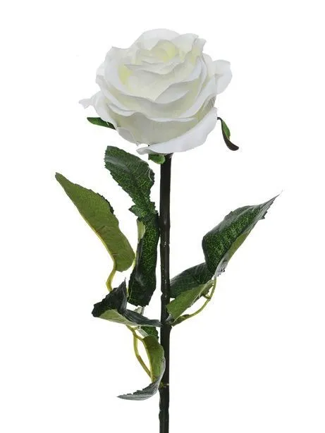 CB Prize Rose Med White