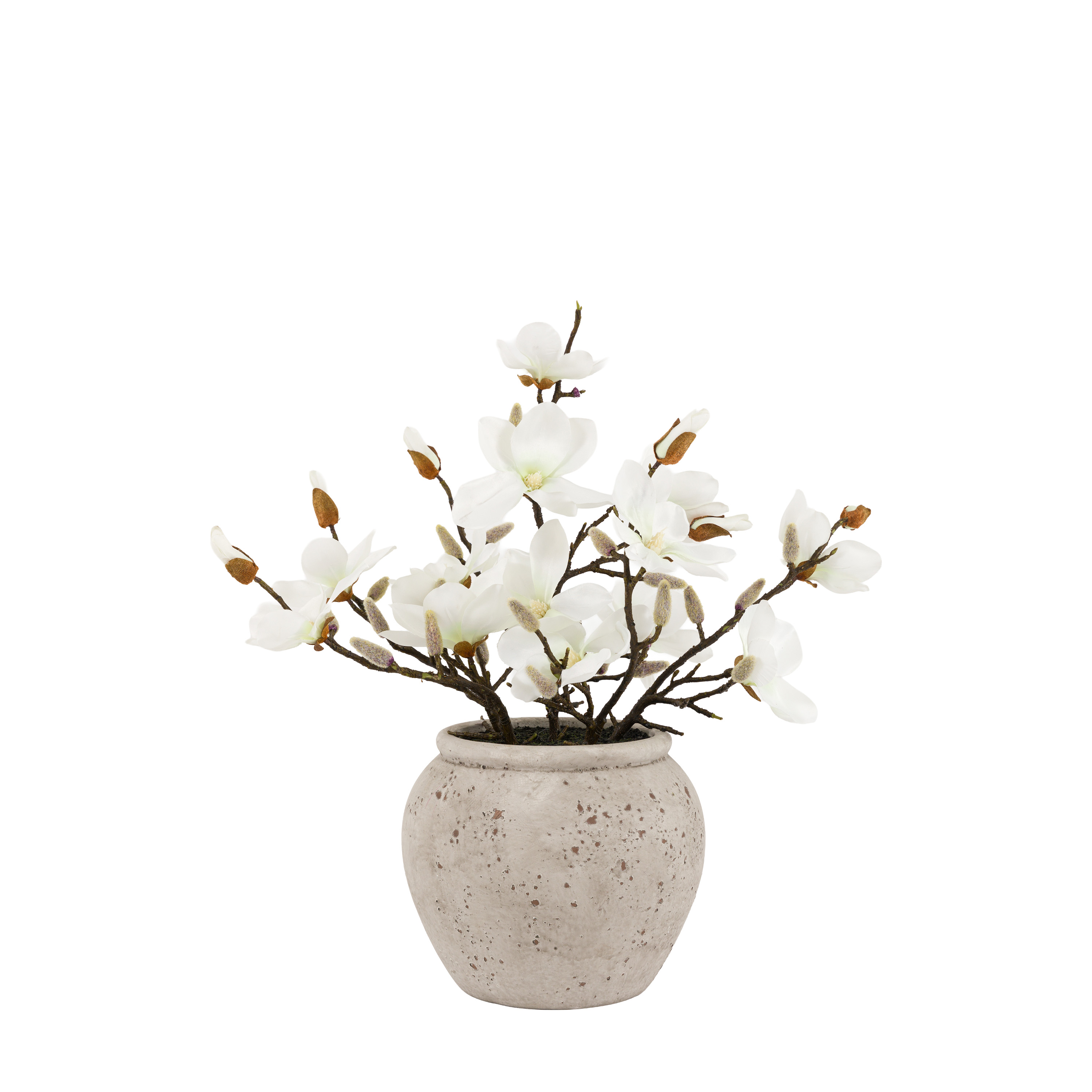 GL Magnolia Vase Arrangement White