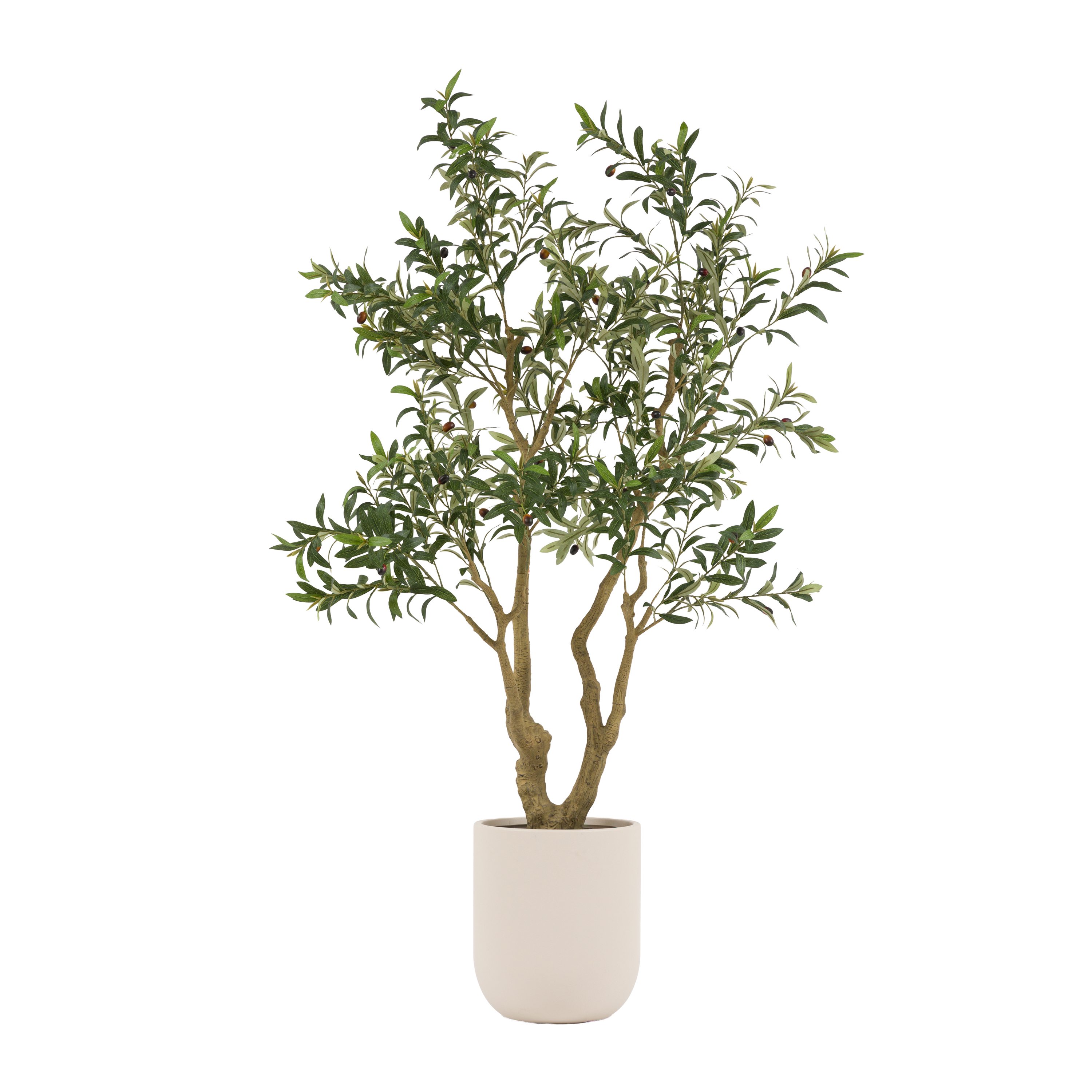 GL Faux Olive Tree in White Pot 190cm