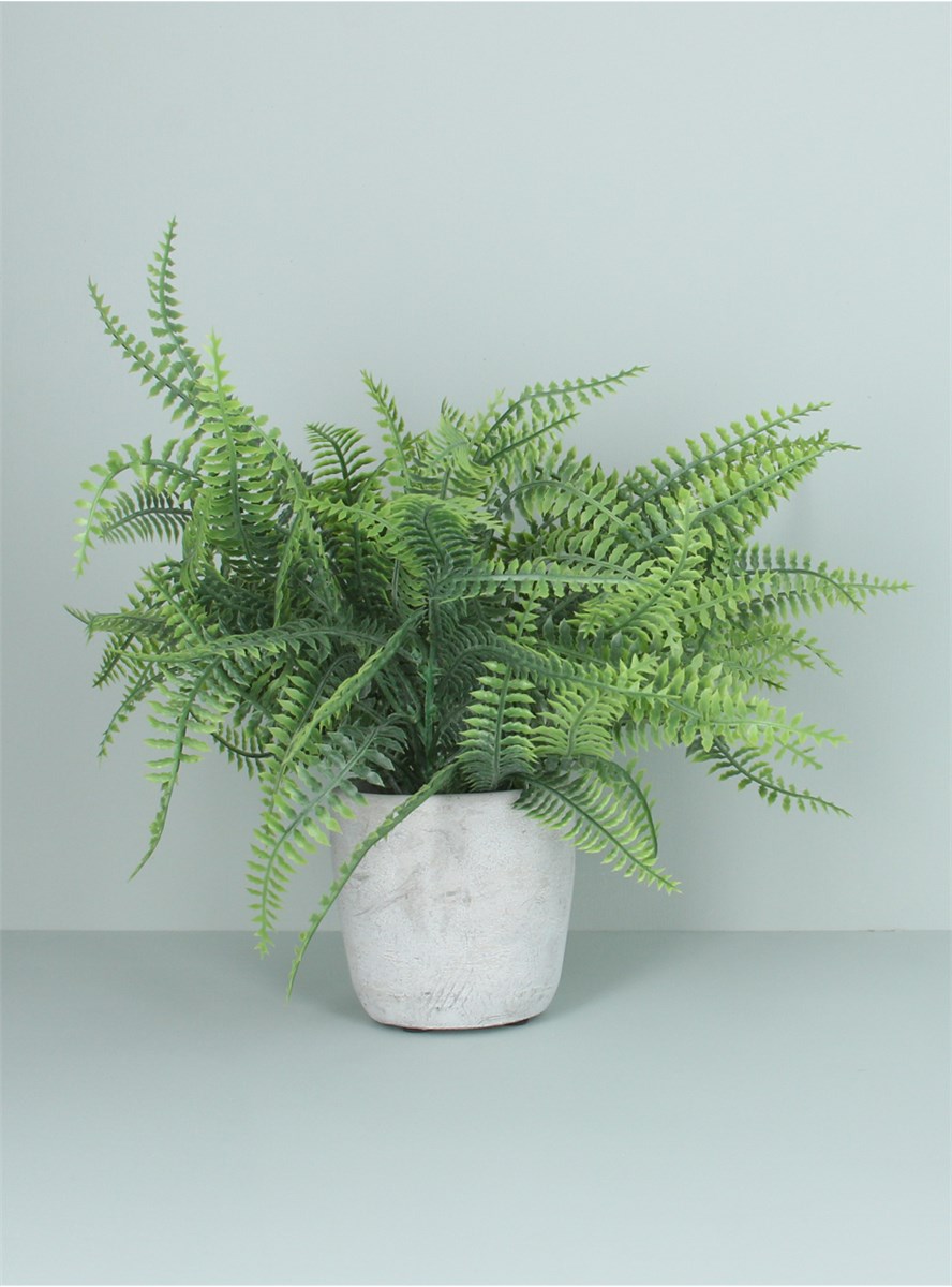 GG Faux Spider Fern In Pot