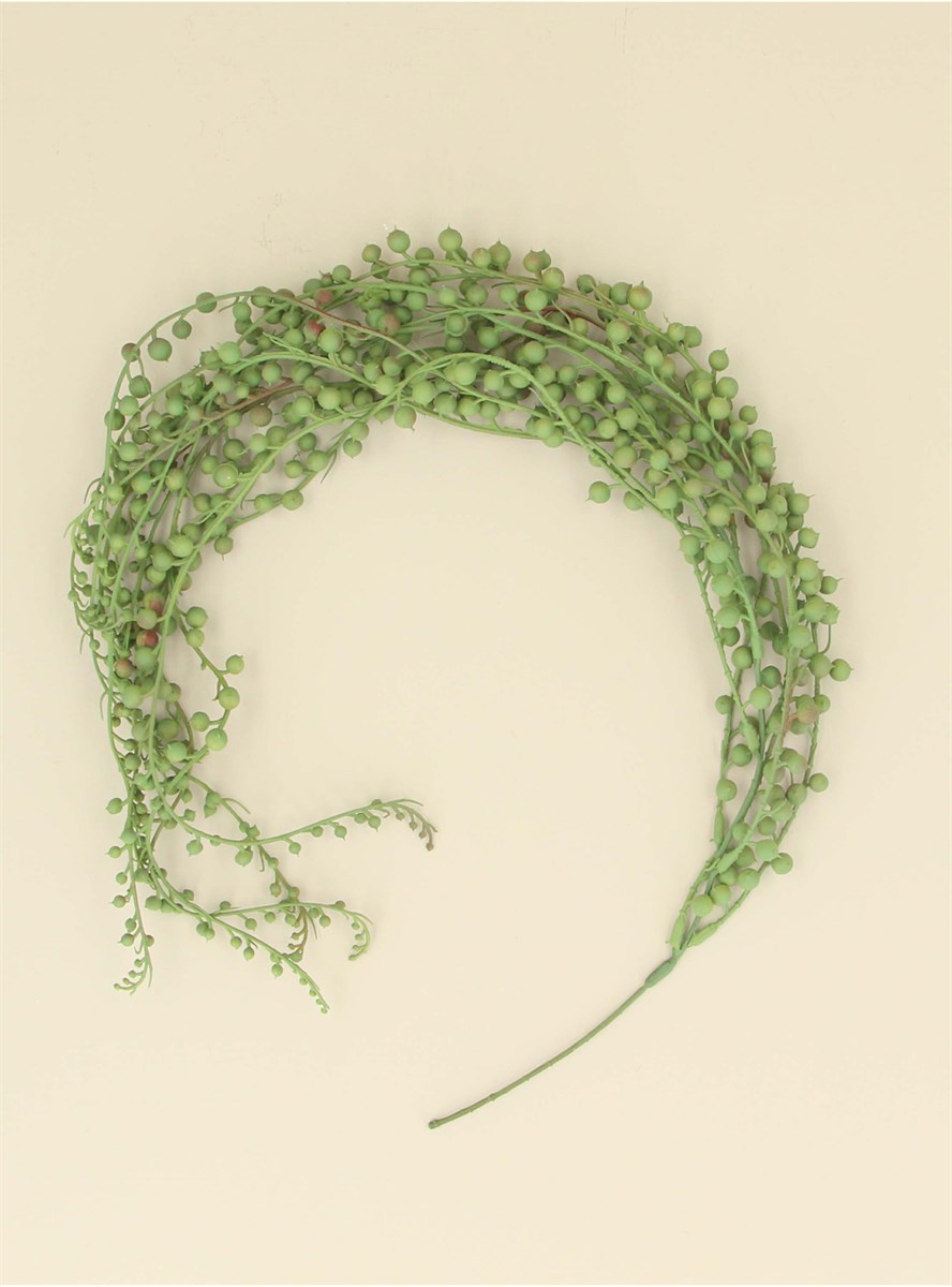 GG Trailing Plankothrix 48cm Spray