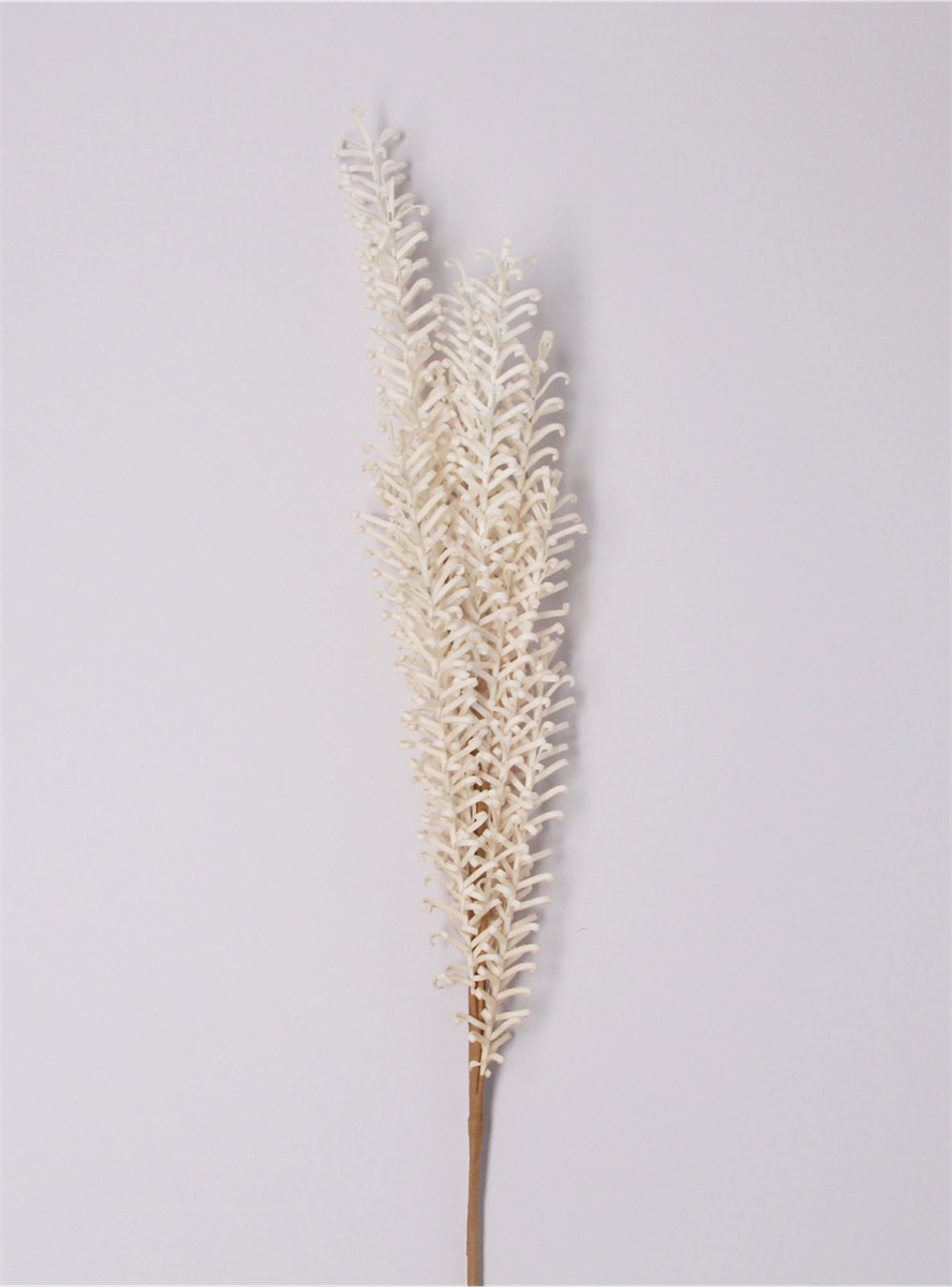 GG Natural Feathered Reed Spray