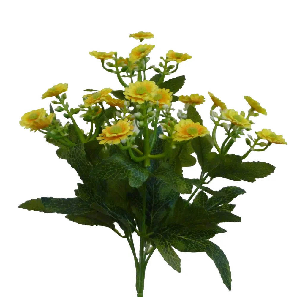 CB Daisy Bush Yellow