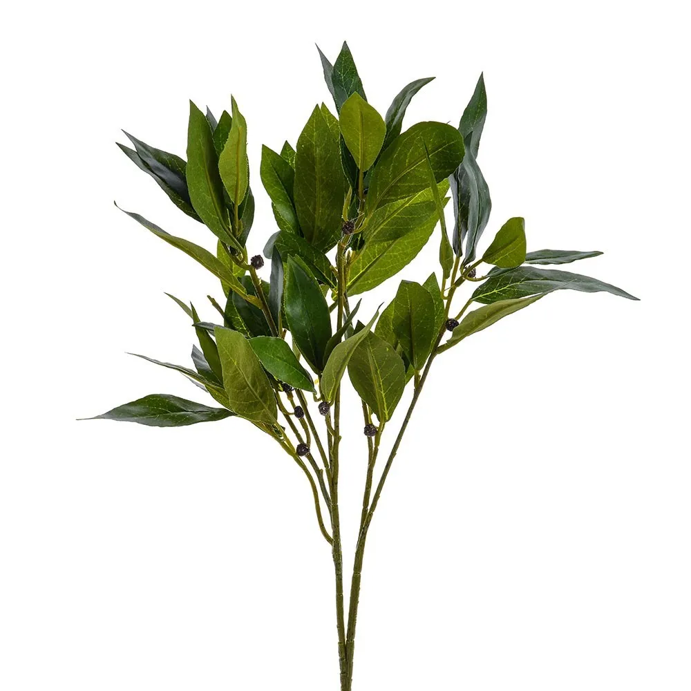 CB Laurel Bush 50cm