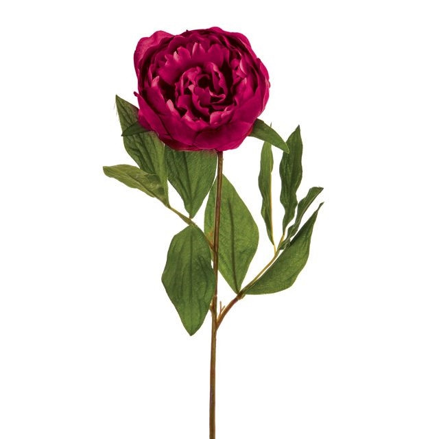 CB Peony Stem Dark Pink
