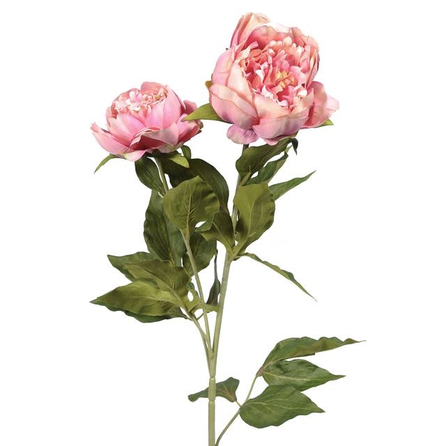 CB Peony Double Spray Antique Pink