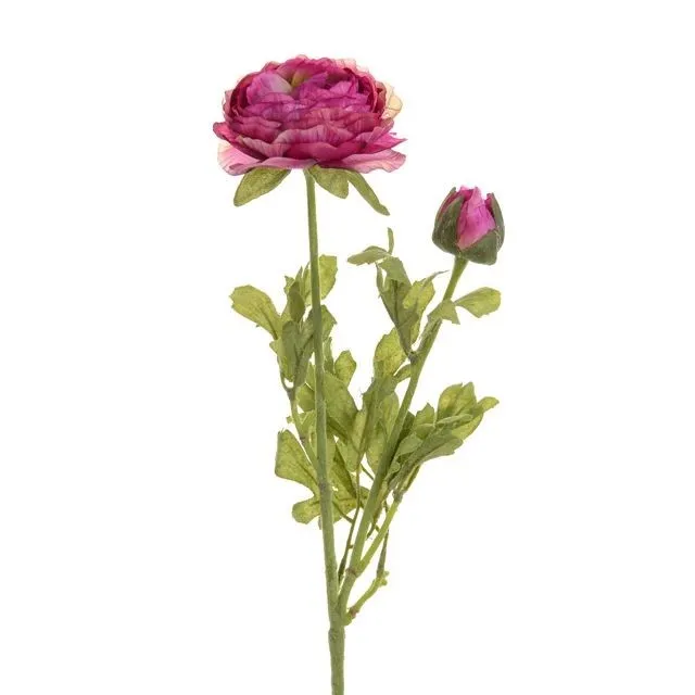 CB Ranunculus Purple/Green 38cm